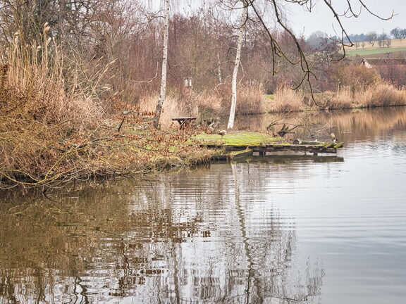 20220123160553-0f3fee8e